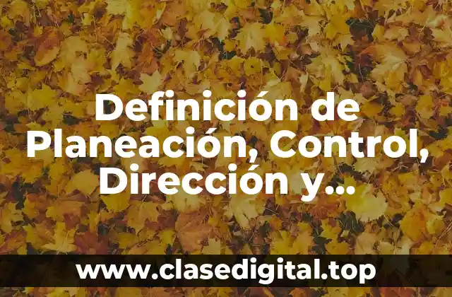 Definición de Planeación, Control, Dirección y Organización