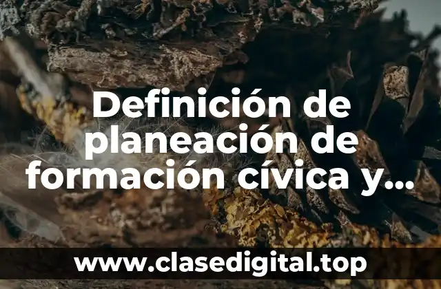 Definición de planeación de formación cívica y estética secundaria