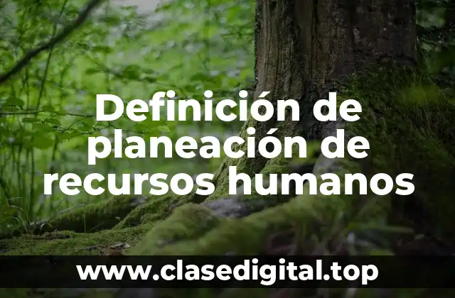 Definición técnica de planeación de recursos humanos