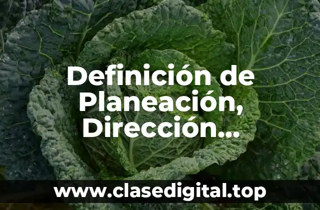 Definición de Planeación, Dirección, Organización y Control