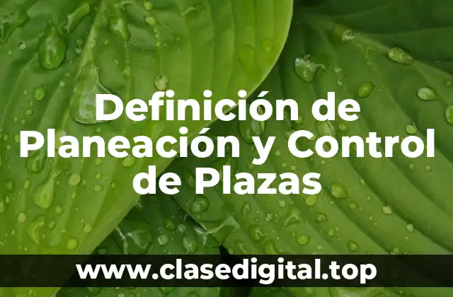 Definición de Planeación y Control de Plazas