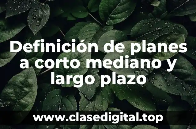Definición de planes a corto mediano y largo plazo