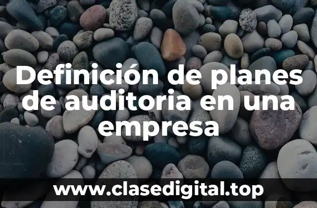 Definición de planes de auditoria en una empresa