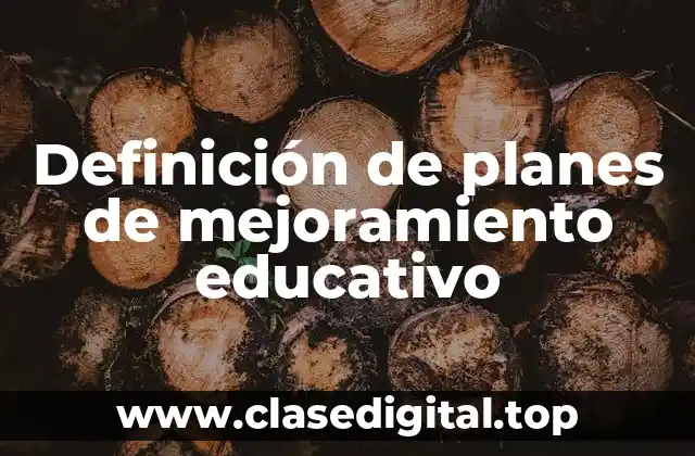 Definición de planes de mejoramiento educativo