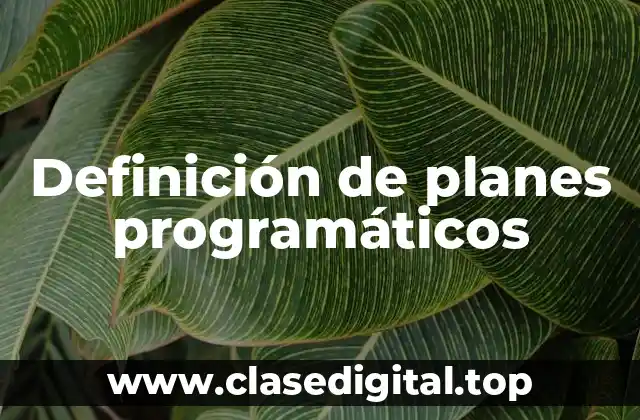 Definición de planes programáticos