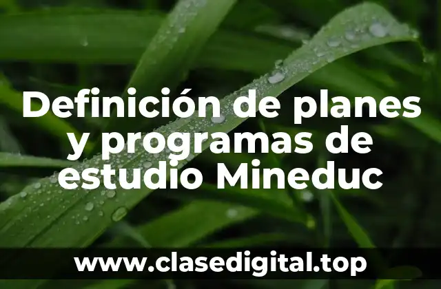 Definición de planes y programas de estudio Mineduc