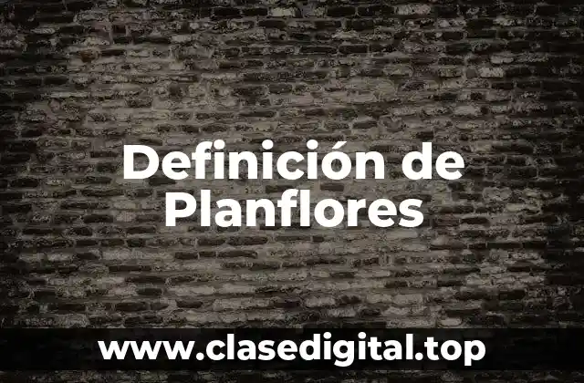 Definición de Planflores