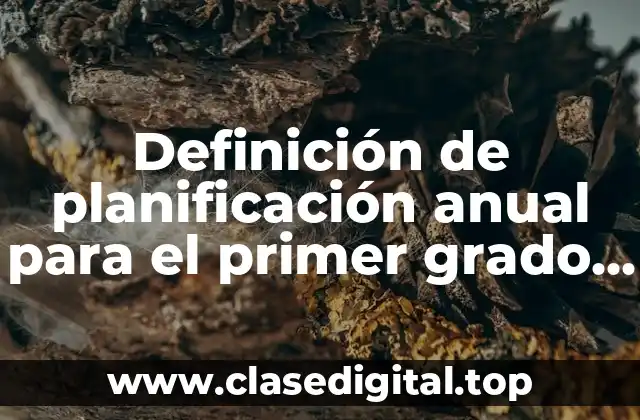Definición de planificación anual para el primer grado de primaria