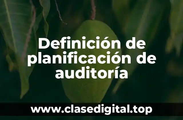 Definición de planificación de auditoría