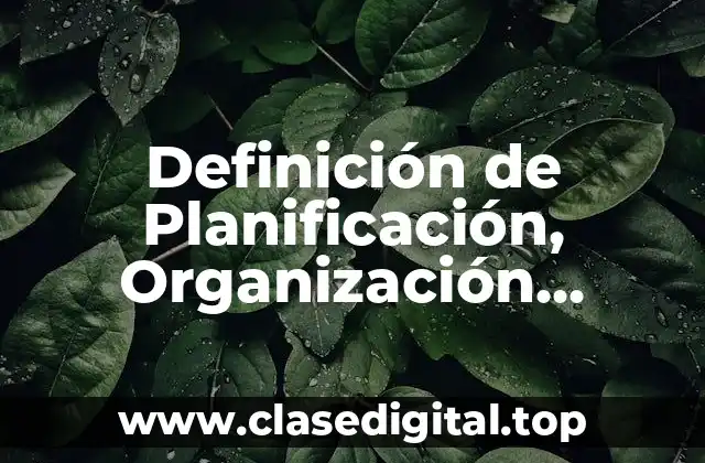 Definición de Planificación, Organización, Dirección y Control