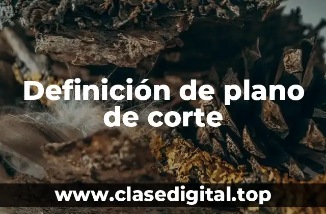 Definición de plano de corte