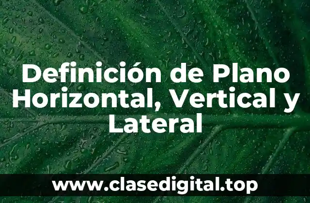 Definición de Plano Horizontal, Vertical y Lateral