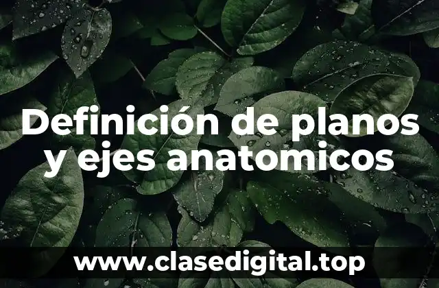 Definición de planos y ejes anatomicos