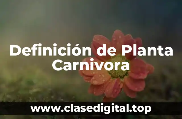 Definición de Planta Carnivora