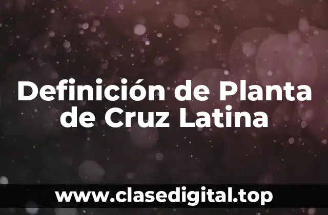 Definición de Planta de Cruz Latina