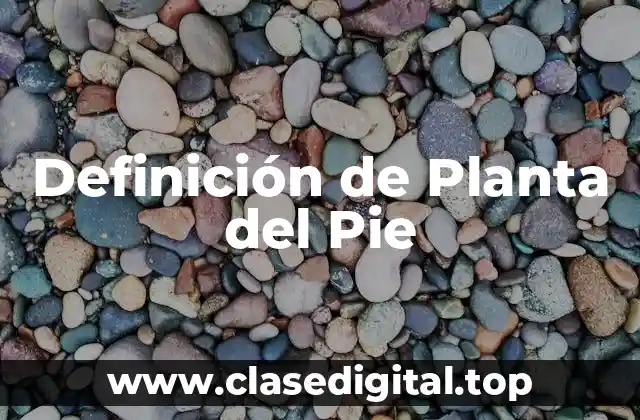 Definición de Planta del Pie