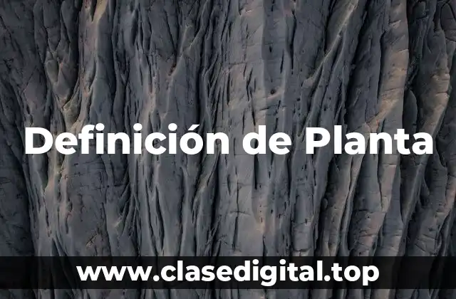 Definición de Planta