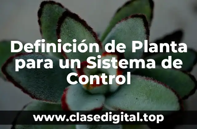 Definición de Planta para un Sistema de Control