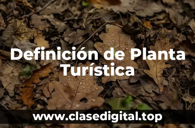 Definición de Planta Turística