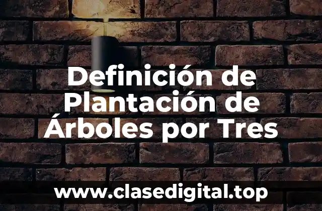 Definición de Plantación de Árboles por Tres