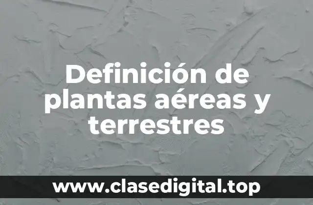 Definición de plantas aéreas y terrestres