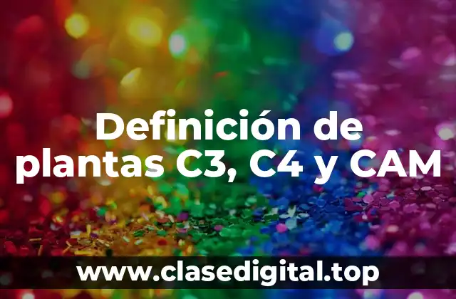 Definición técnica de fotosíntesis