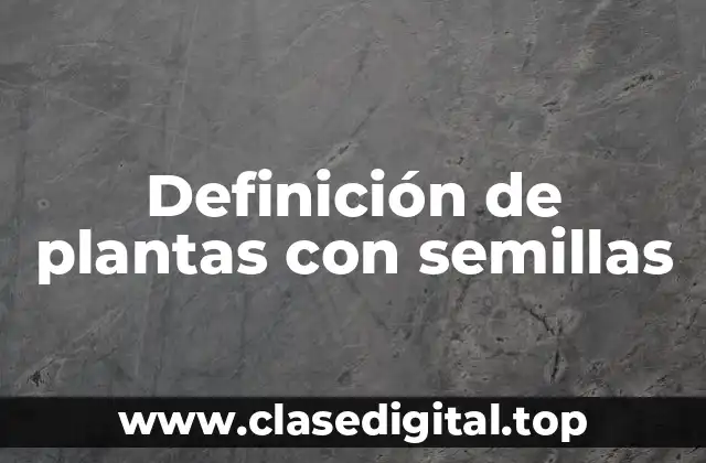 Definición de plantas con semillas