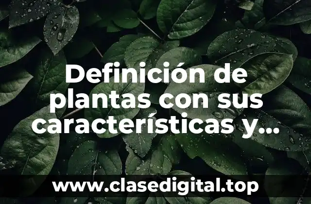 Definición de plantas con sus características y reproducción