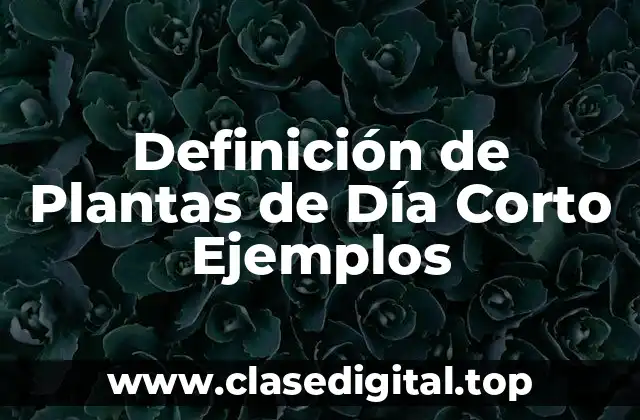 Definición de Plantas de Día Corto Ejemplos
