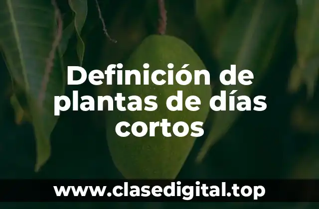 Definición de plantas de días cortos