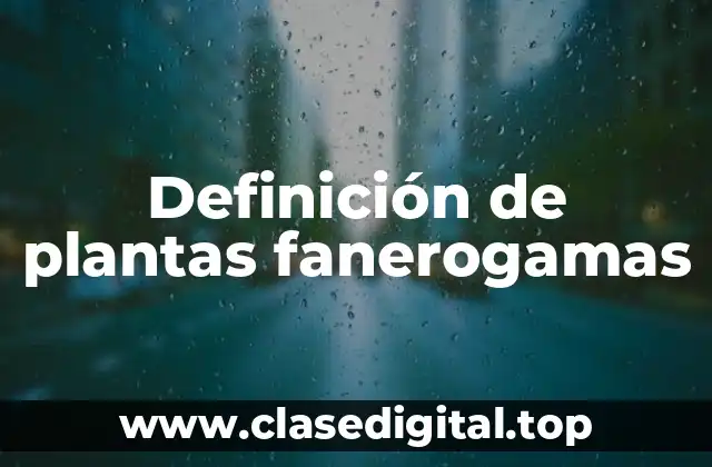 Definición de plantas fanerogamas