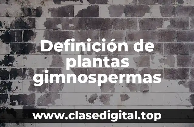 Definición de plantas gimnospermas
