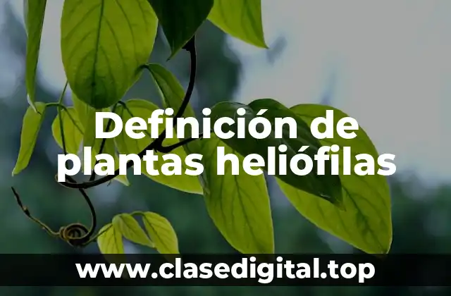 Definición de plantas heliófilas