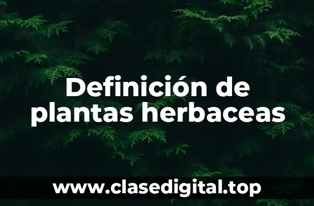 Definición de plantas herbaceas