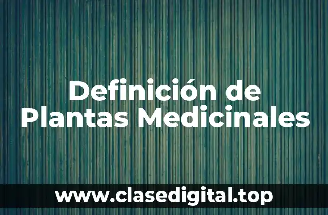 Definición de Plantas Medicinales