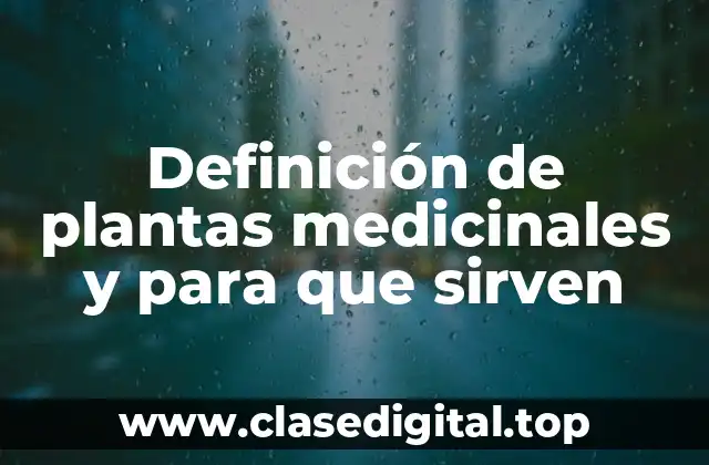 Ejemplos de plantas medicinales