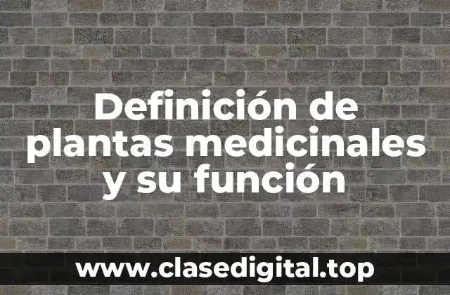 Definición de plantas medicinales y su función