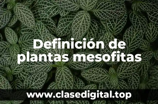 Definición de plantas mesofitas
