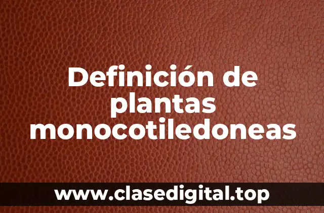 Definición de plantas monocotiledoneas