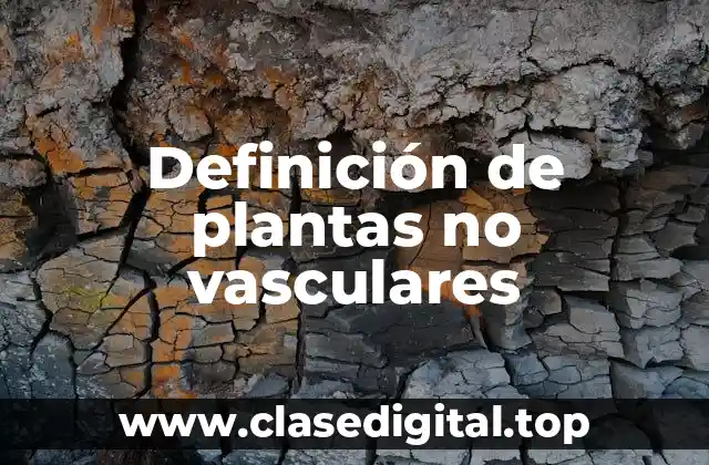 Definición de plantas no vasculares