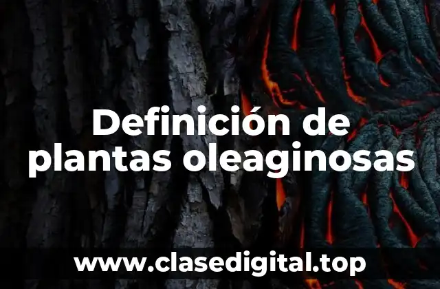 Definición de plantas oleaginosas