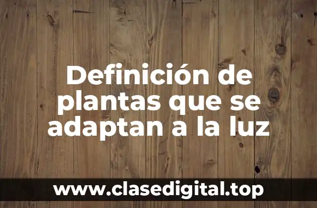 Definición de plantas que se adaptan a la luz