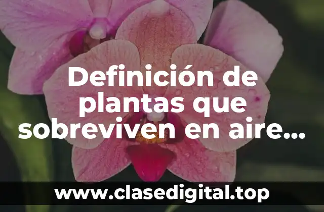 Definición de plantas que sobreviven en aire acondicionado