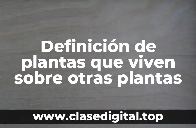 Definición de plantas que viven sobre otras plantas