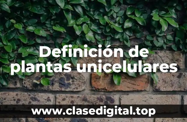 Definición de plantas unicelulares