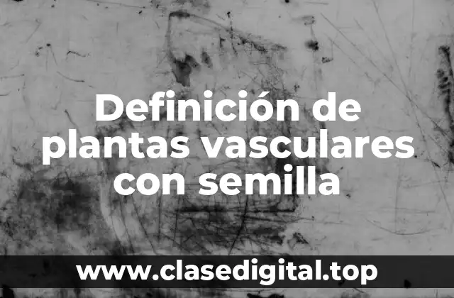 Definición de plantas vasculares con semilla