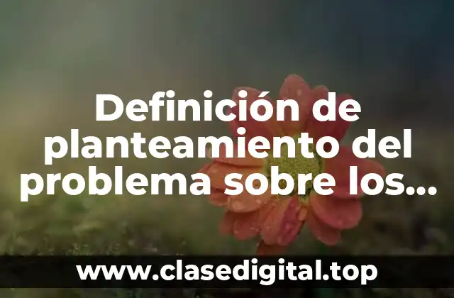 Definición de planteamiento del problema sobre los pañales ecológicos