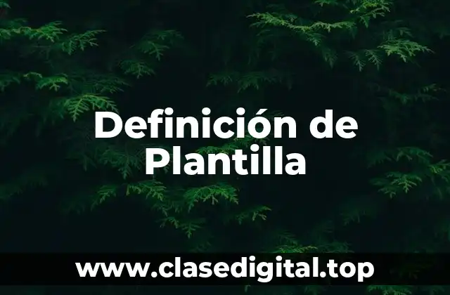 Definición técnica de Plantilla