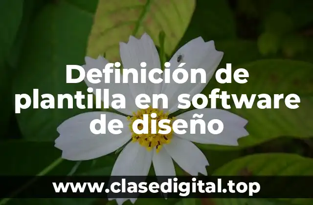 Definición de plantilla en software de diseño