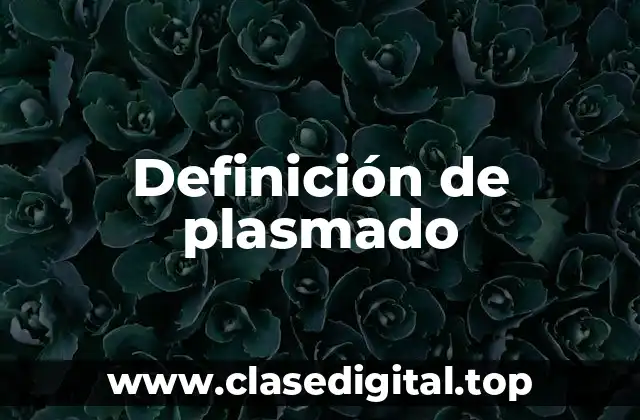 Definición de plasmado